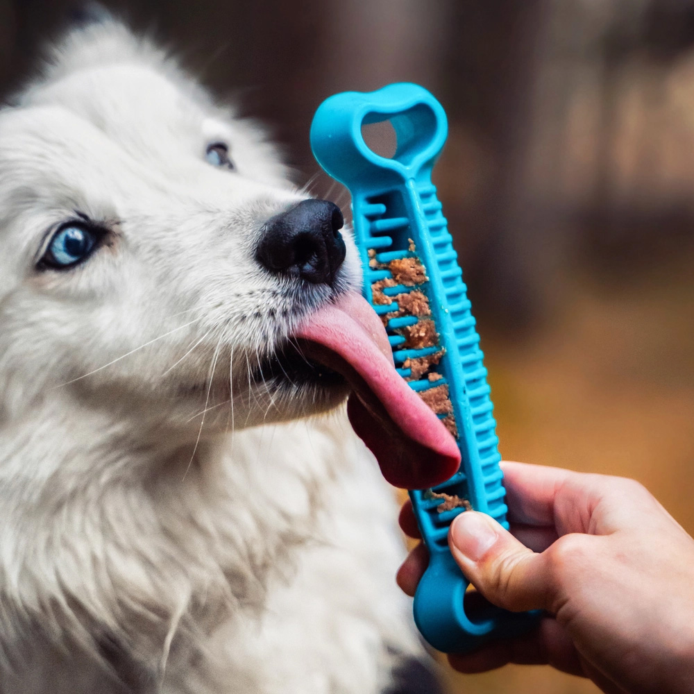 Fiboo Fiboone Dental Niebieski dla Psa Gryzak Dentystyczny do Zębów